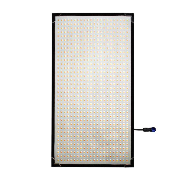 Aladdin-BI-FLEX-2 TRANSPALUX